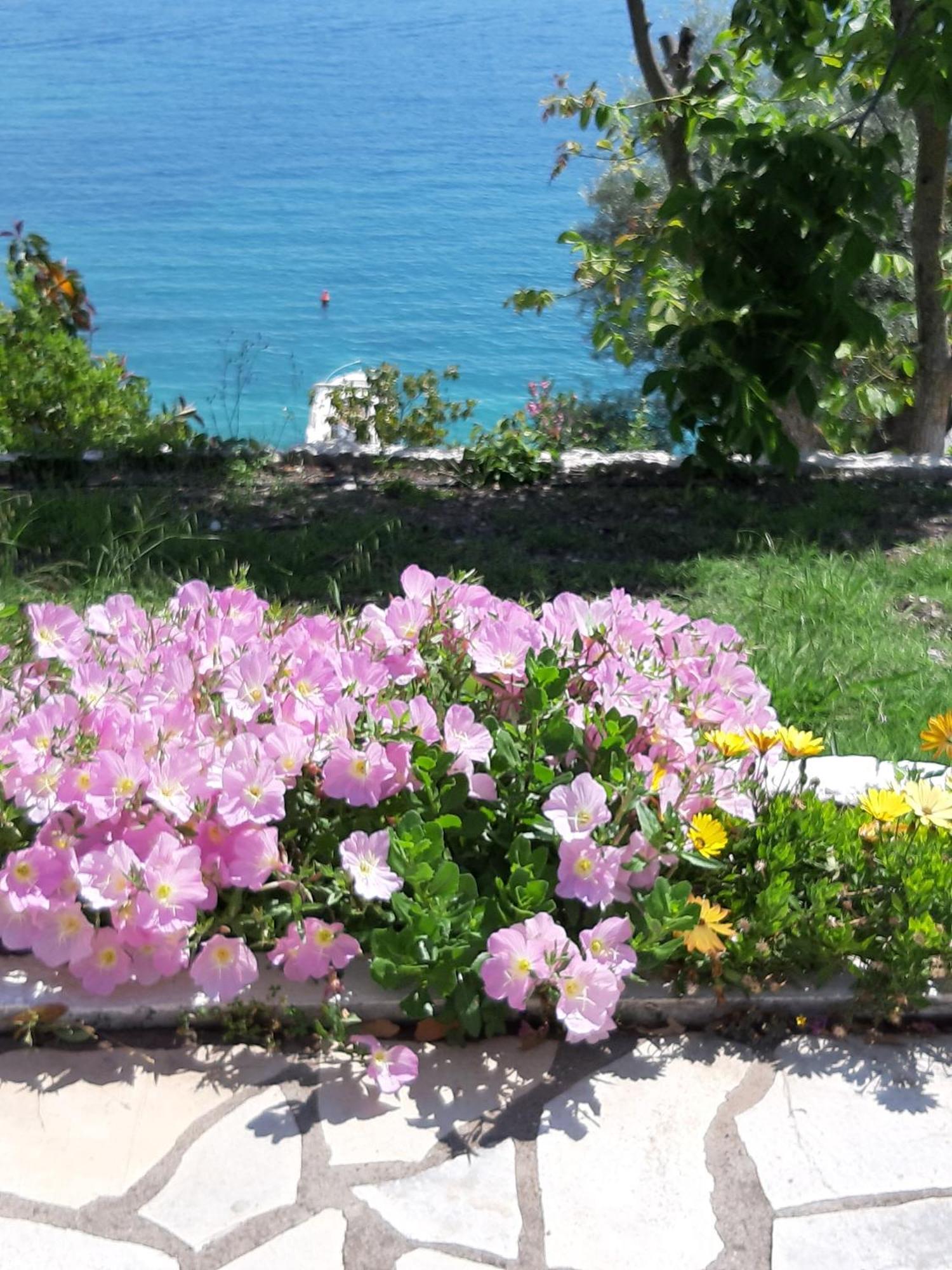 Villa Korakias Seaview à Yénion Extérieur photo